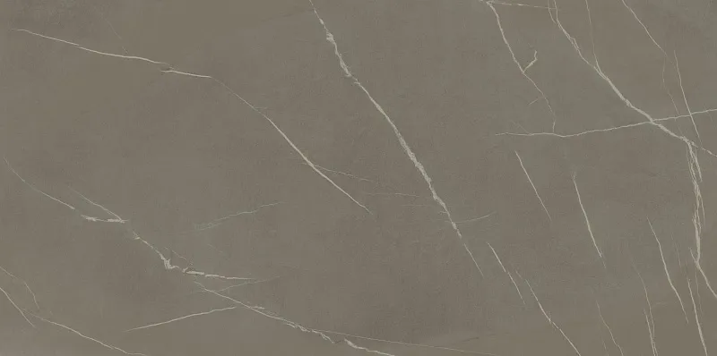 Керамогранит Ламинам In-Side Pietra Piasentina Grigio Naturale 162x324 LAMF009553_IT - фото 1