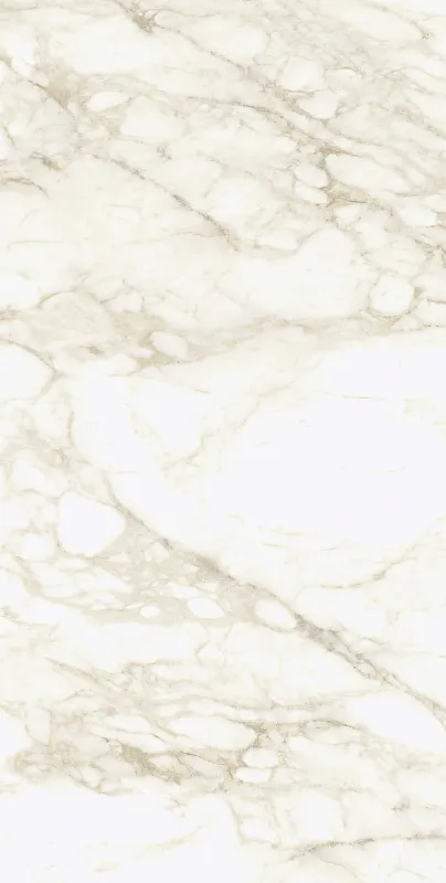 Керамогранит ColiseumGres Микеланджело Ворм Рет 610010002745 белый 60x120 - фото 1