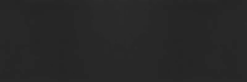 Керамогранит Ламинам Collection Nero Assoluto 100x300x5,6 LAMF008643_IT - фото 1