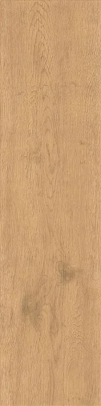 Керамогранит Atlas Concorde Italy Entice Pale Oak Natural Outdoor 30x120 A9DD - фото 1