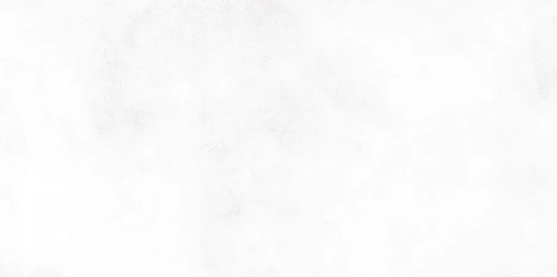 Керамическая плитка NewTrend Konor White WT9KON00 24.9x50 - фото 1