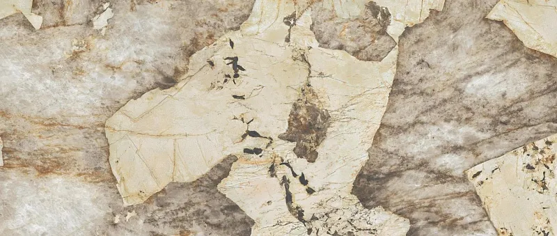 Керамогранит Atlas Concorde Italy Marvel Gala Desert Soul Polished 120x278 AFXV - фото 1