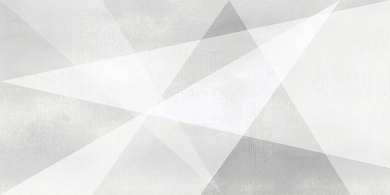 Керамическая плитка AltaCera Shape Geometry White WT9SHG00 24.9x50 - фото 1