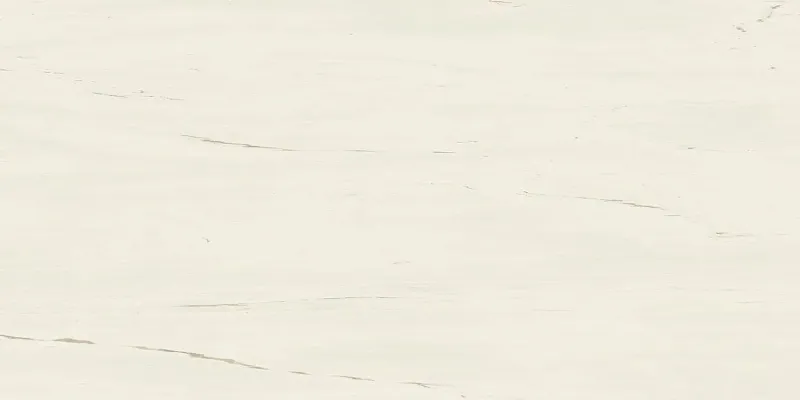 Керамогранит Atlas Concorde Italy Marvel Stone Bianco Dolomite Matte 60x120 A21C - фото 1