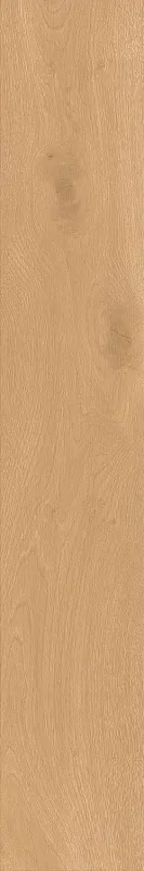 Керамогранит Atlas Concorde Italy Entice Pale Oak Natural Matte 20x120 A841 - фото 1