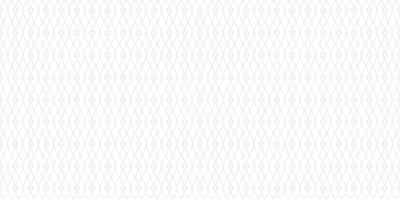 Керамическая плитка AltaCera Eleganza White WT9ELZ00 24.9x50 - фото 1