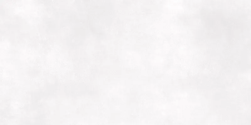 Керамическая плитка AltaCera Islandia Light WT9ISL15 24.9x50 - фото 1