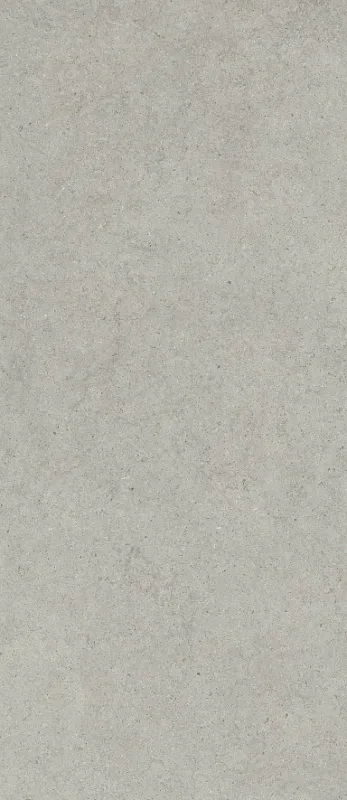 Керамогранит Италон Форум Стоун Сильвер 600180000082 серый 120x278 - фото 1