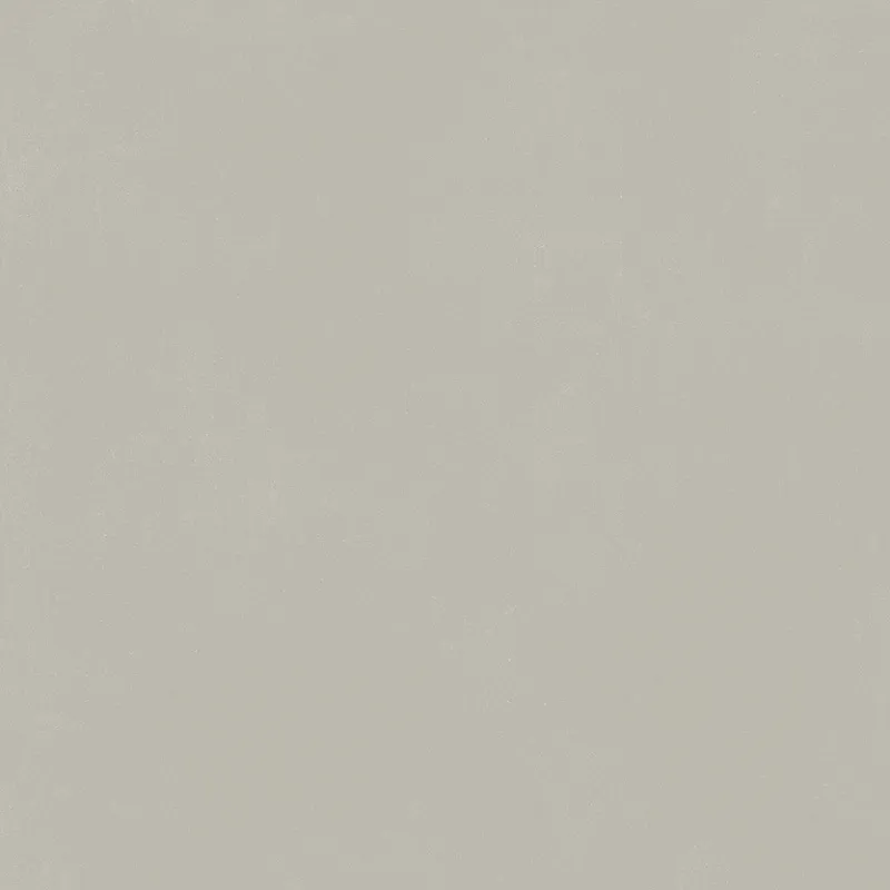 Керамогранит Италон Форум Слим Сильвер 610010004138 серый 80x80 - фото 1