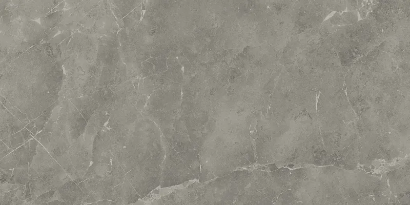 Керамогранит Atlas Concorde Italy Marvel Pro Grey Fleury Polished 60x120 A21M - фото 1