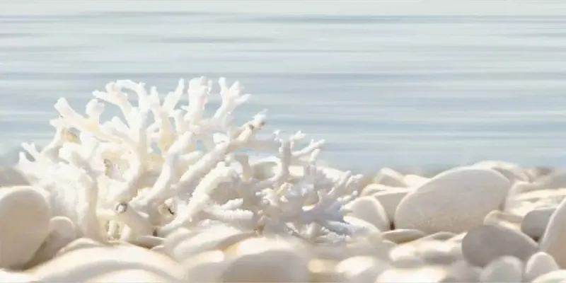 Декор Alma Ceramica Del Mare DWU09DLM624 24.9x50 - фото 1