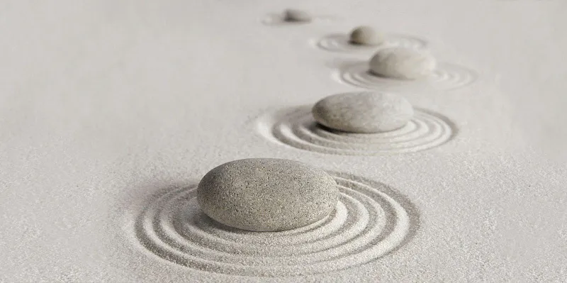 Декор Alma Ceramica Relax DWU09RLX004 24.9x50 - фото 1