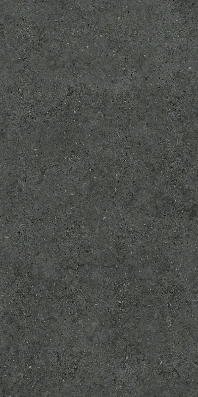 Керамогранит Италон Форум Стоун Петрол 610010004171 серый 60x120 - фото 1