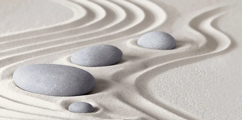 Декор Alma Ceramica Relax DWU09RLX034 24.9x50 - фото 1