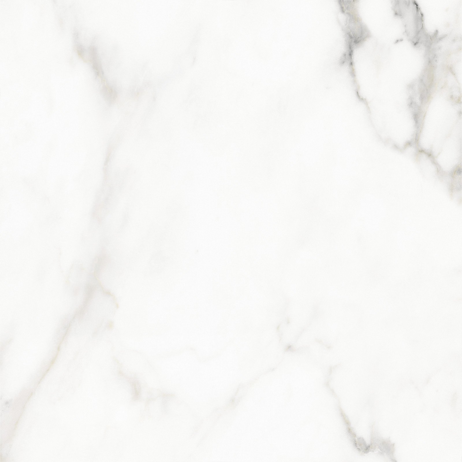 Delacora Calacatta Lincoln delacora calacatta lincoln 6060cll15