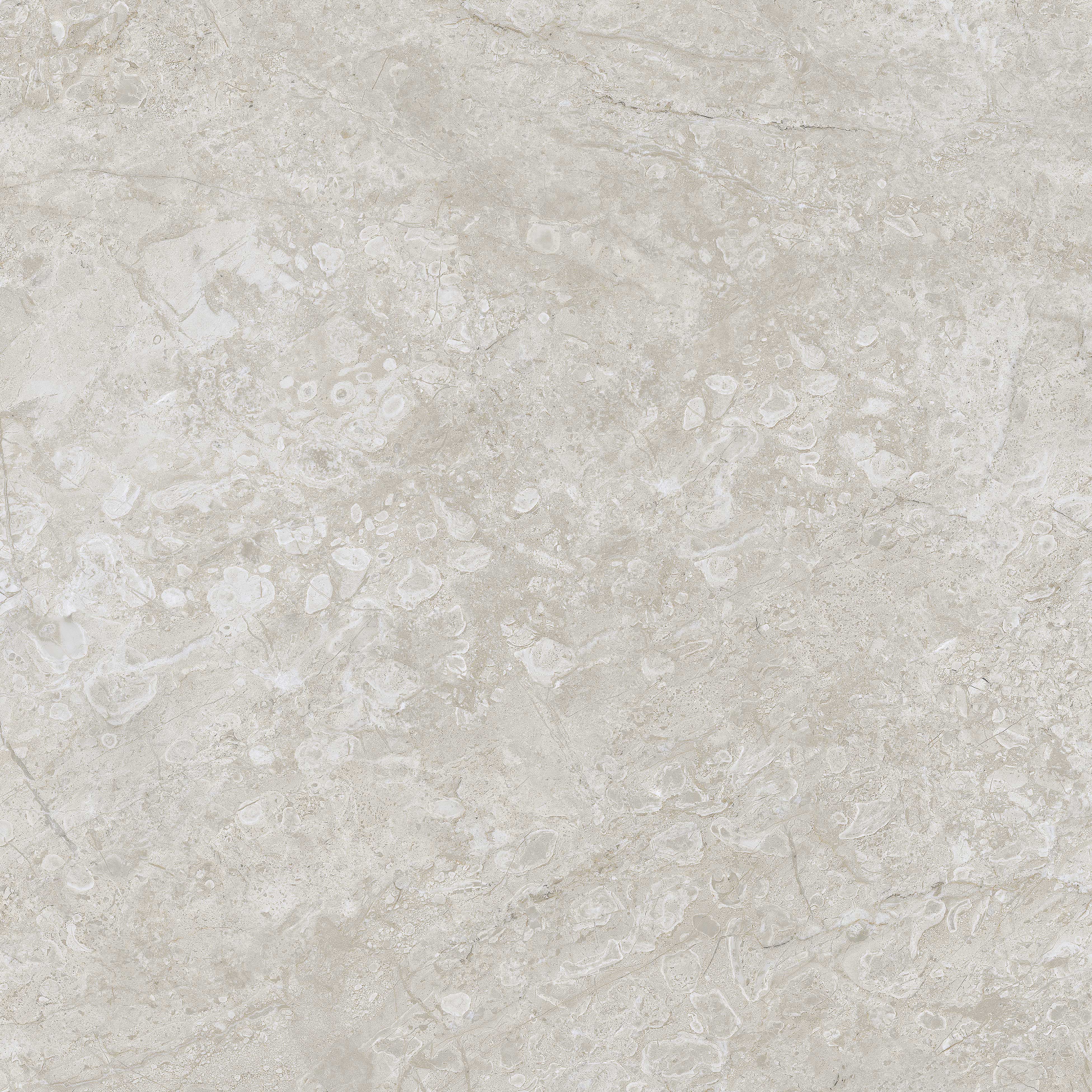 Royal Sand Grey 60x60 royal sand grey 60x60 sag19f56010a