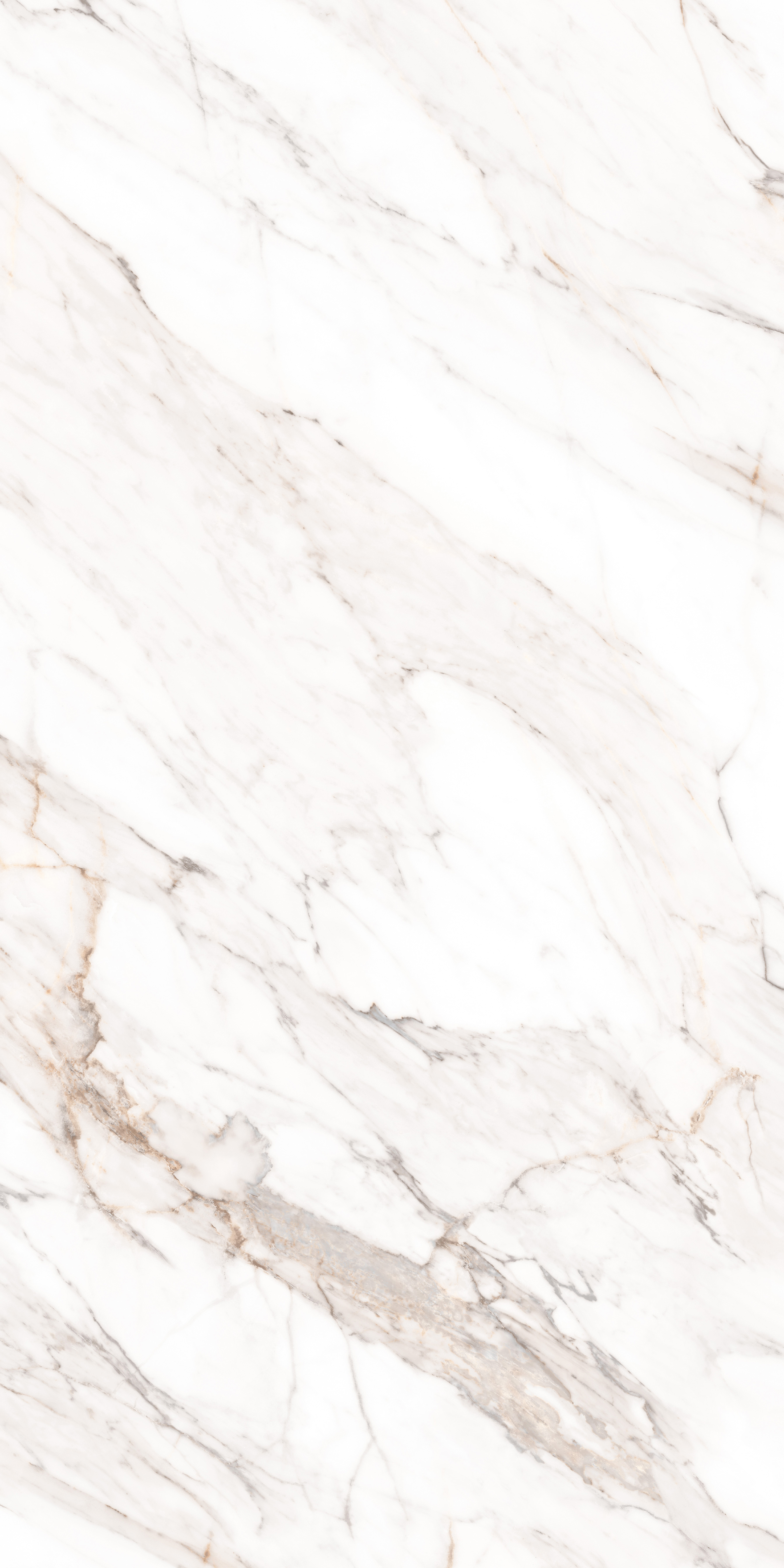 Calacatta Gold Polished 80x160 calacatta gold polished 80x160 mpl-058640