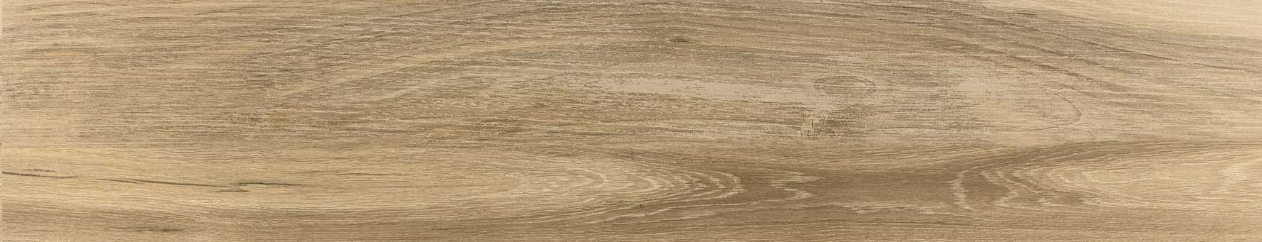 Tsuga Oak Rectified