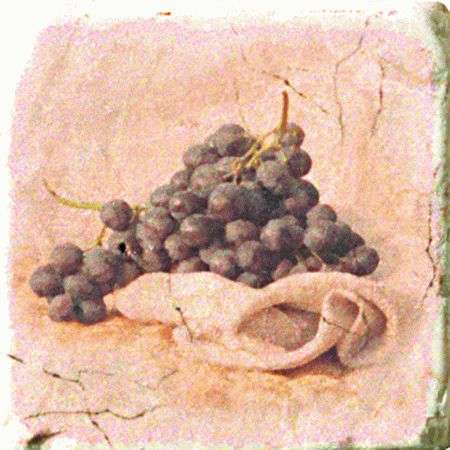 Inserto Tradition S/3 10x10 (Виноград) inserto tradition s/3 10x10 (виноград) 151264-12-5912-1