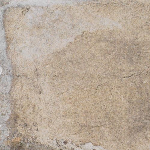 Sugar Cane 20x20 sugar cane 20x20 1052974