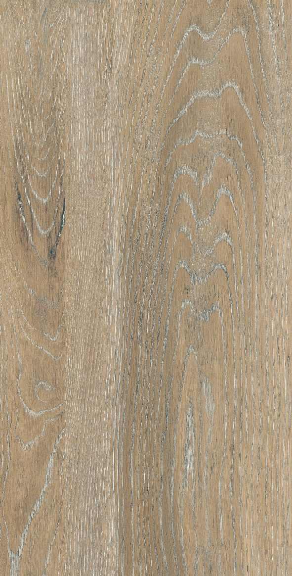 Estima Dream Wood City 02