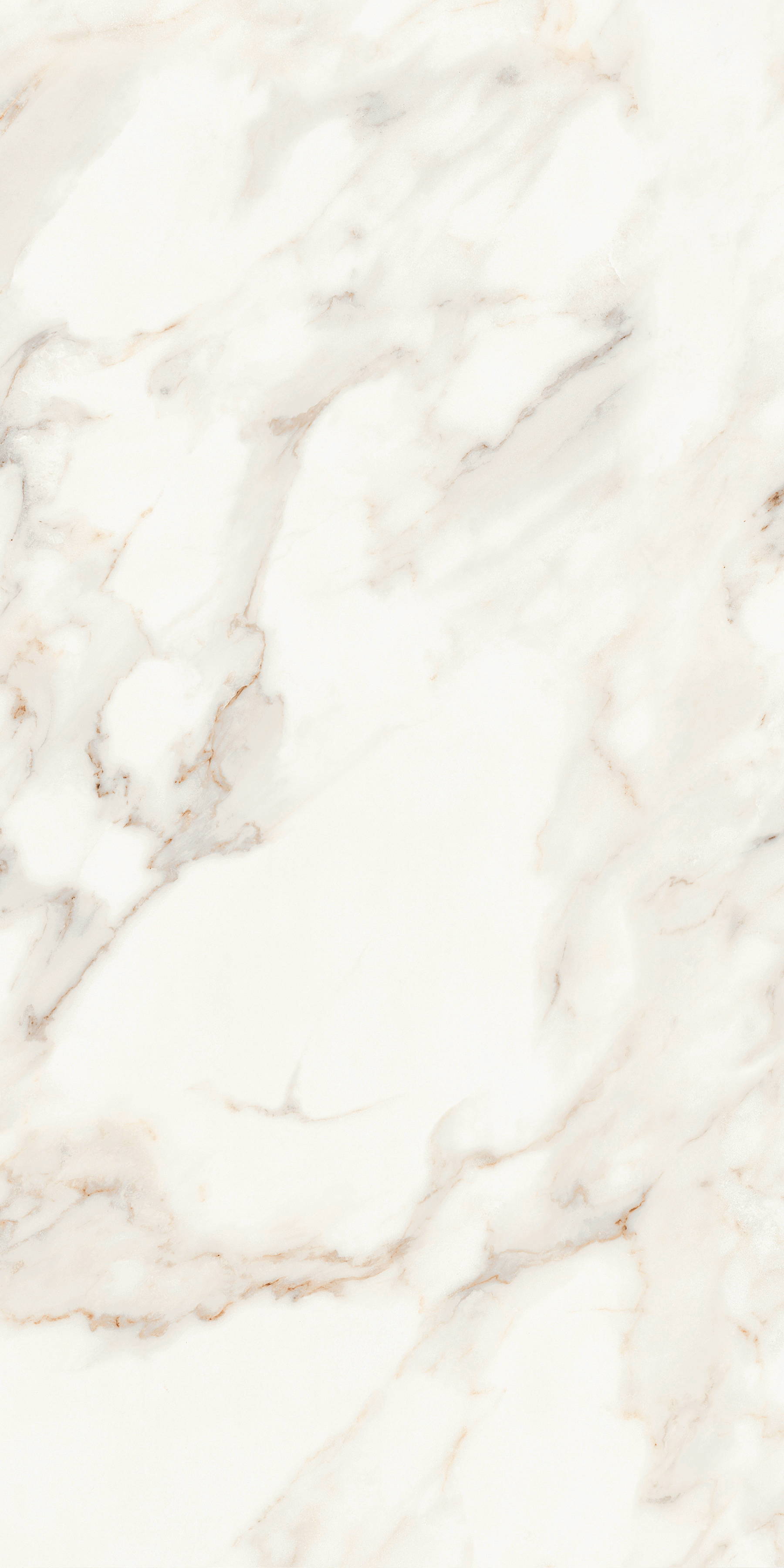 Calacatta Satin 60x120 calacatta satin 60x120 mpl-058622