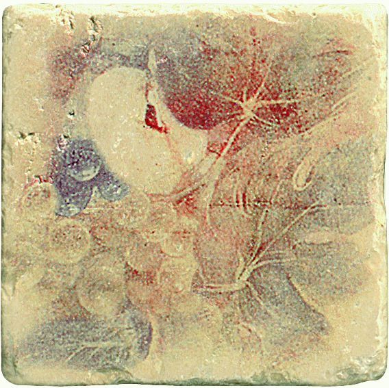 Ins.Botticino S/3 Beige 10x10 (Яблоко+Виноград) ins.botticino s/3 beige 10x10 (яблоко+виноград) 1511014-12-2212-2