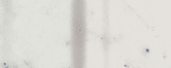 Уголок Италон Charme Extra Carrara 2x5 полированный - фото 1