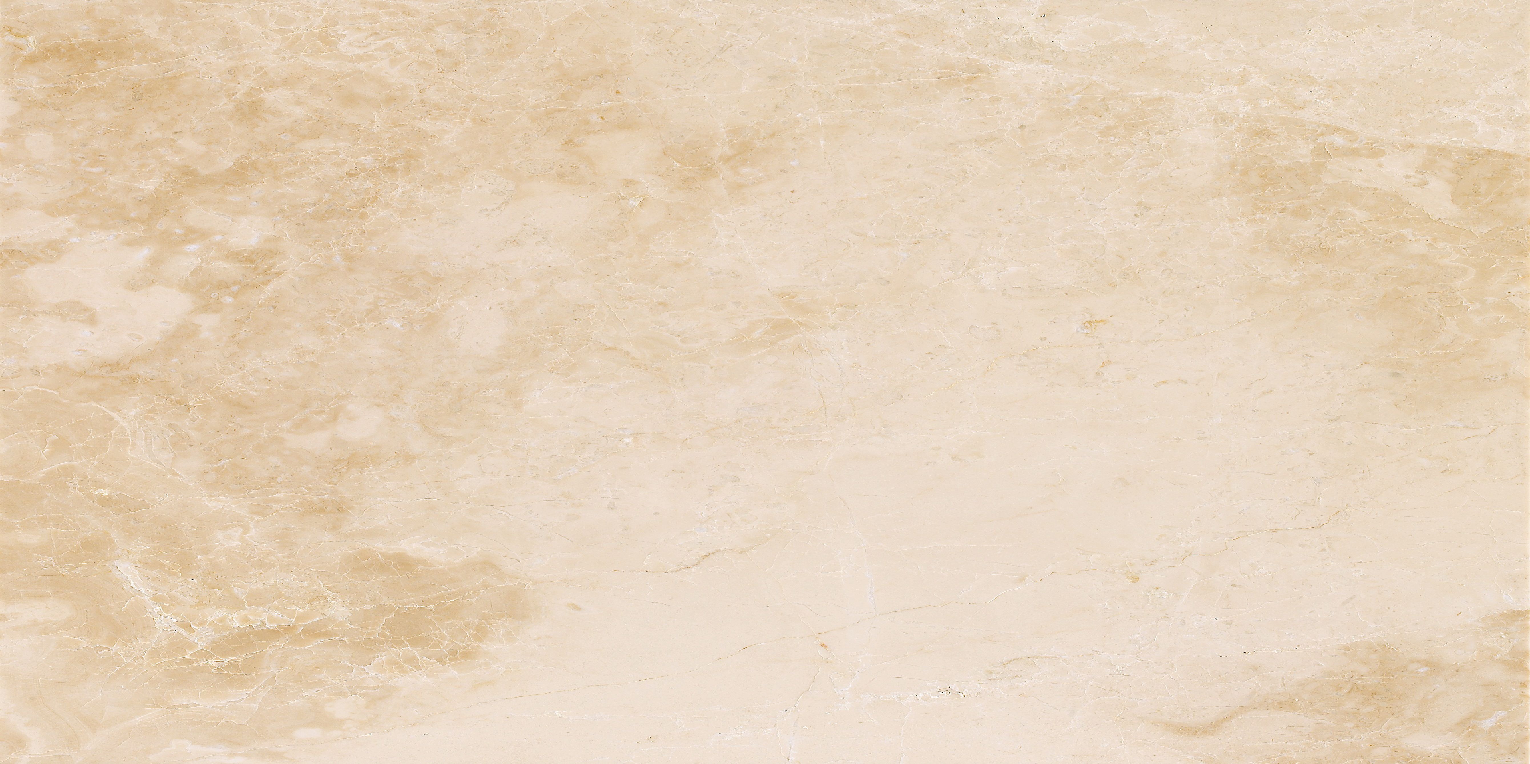 Latte 40x80