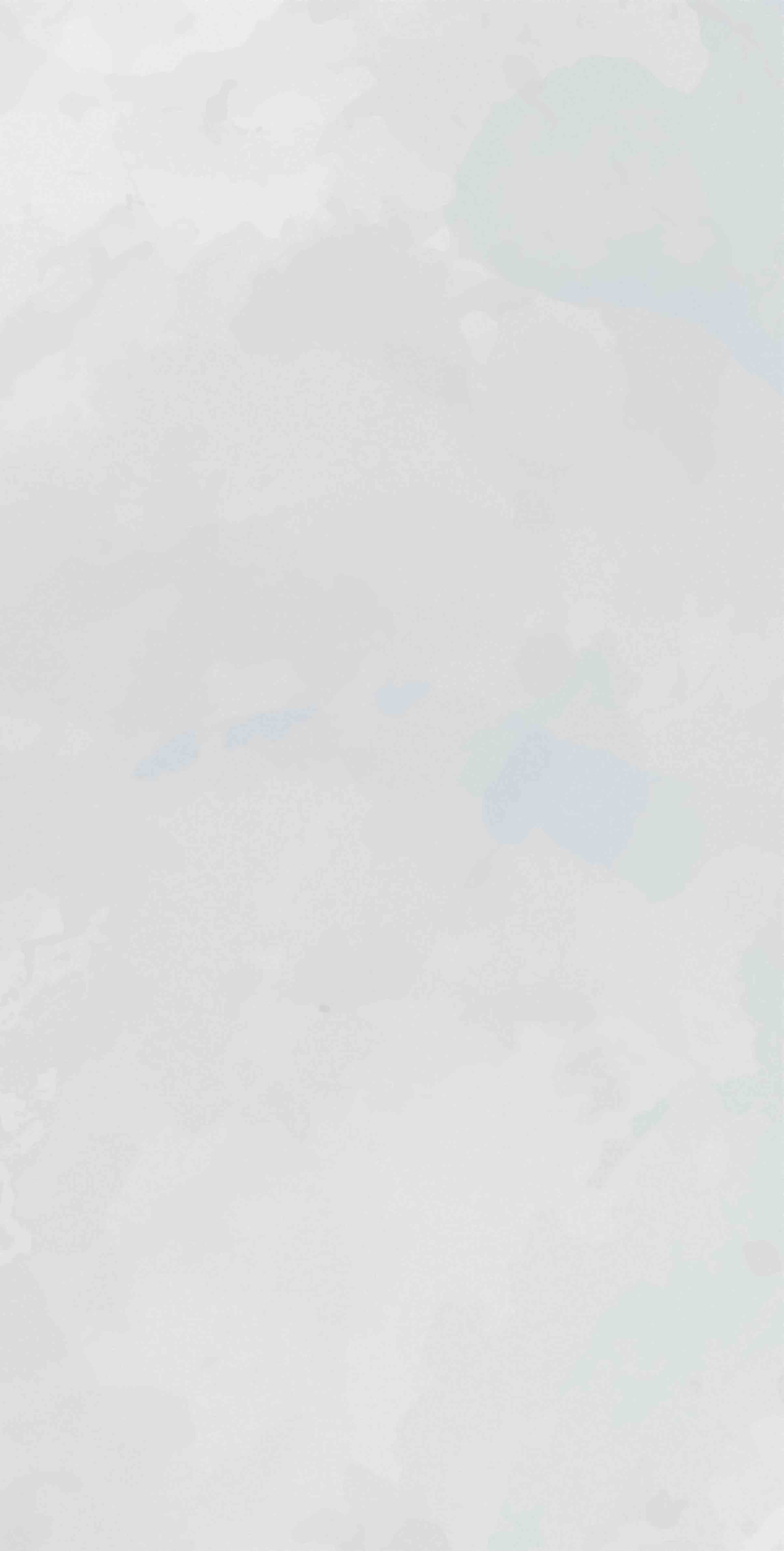 Mon Garden Cloudy Garden 30x60 mon garden cloudy garden 30x60 nb_0428