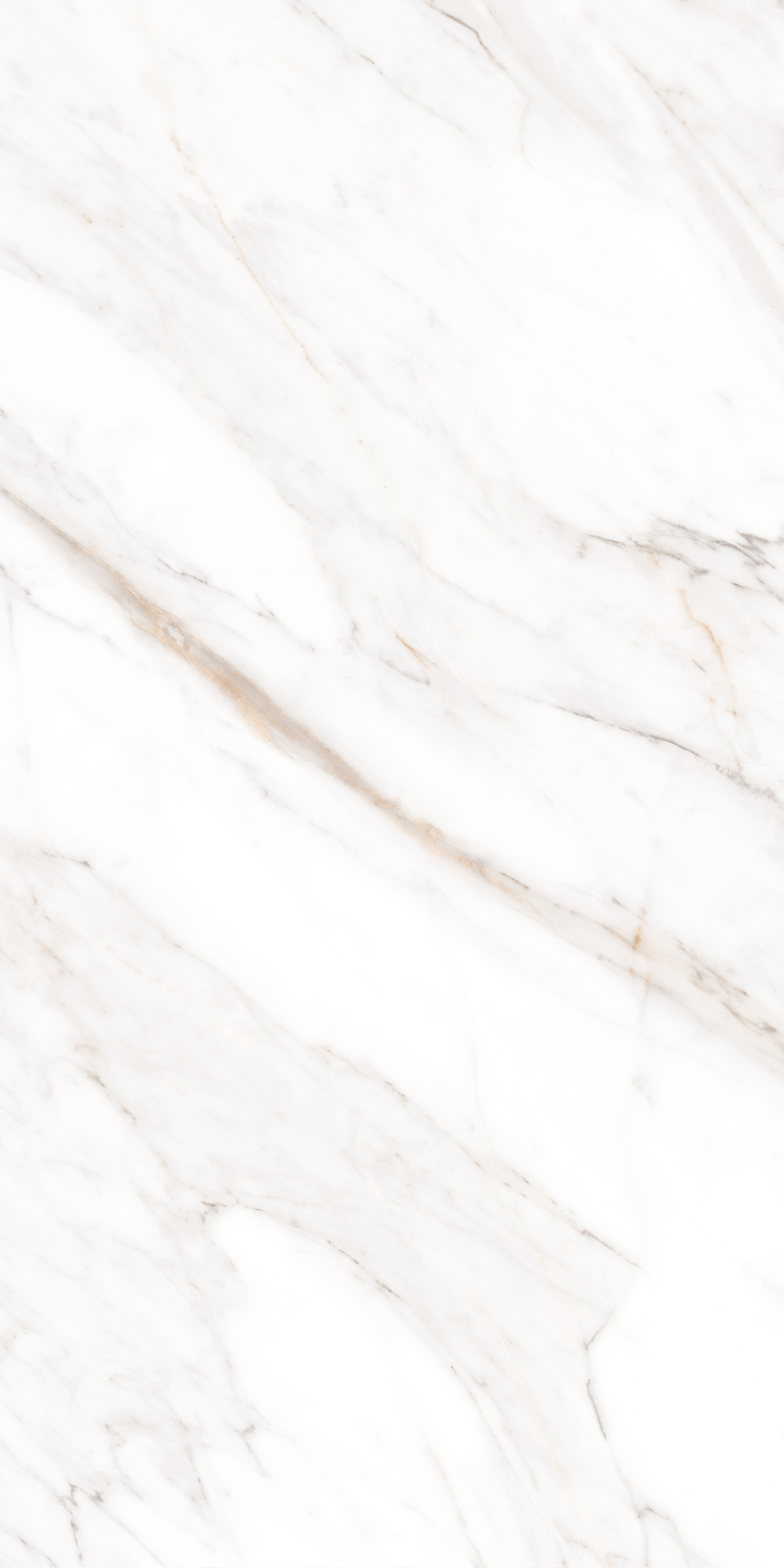 Calacatta Gold Satin 60x120 calacatta gold satin 60x120 mpl-058630