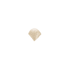 Italon Elite Wall Project Champagne Cream Spigolo A.E.