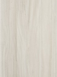 Serra Eleganto 541 Wall DECOR BEIGE GLOSSY