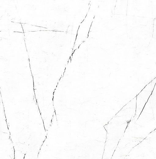 Vision 01