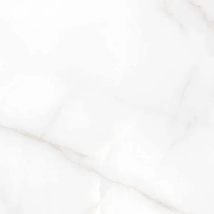 Керамогранит Аркадия Керамика RT6004-A Feather Onyx Matt Rustic 60x60 белый - фото 1