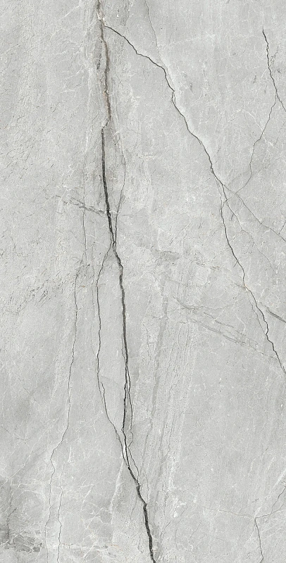 Керамогранит Аркадия Керамика CR4013-A Condor Light Grey Carving 60x120 серый - фото 1