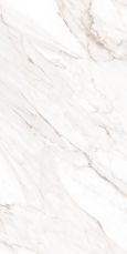 Calacatta Gold Polished 60x120