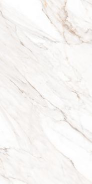 calacatta gold polished 60x120 mpl-058631