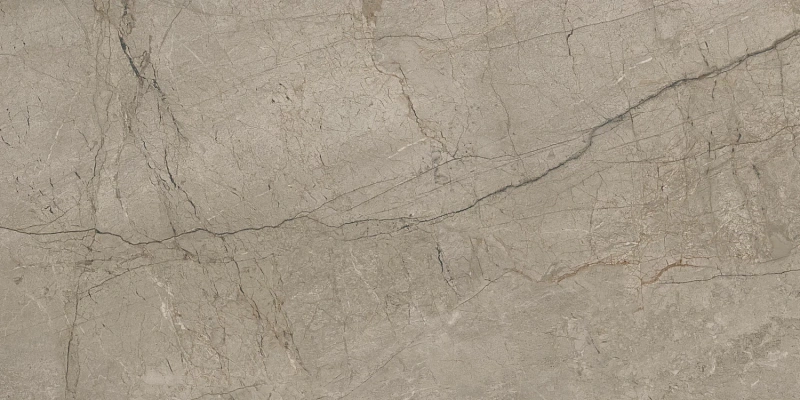 Керамогранит Atlas Concorde 610015000658 Forte dei Marmi Mystic Grey Rett Cer 60x120 - фото 5