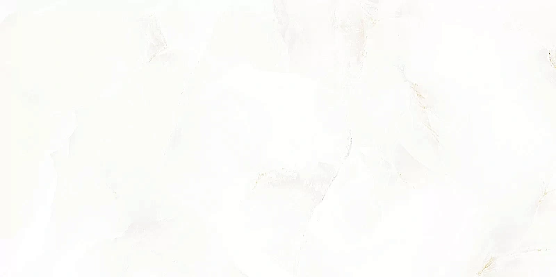 Керамическая плитка Alma Ceramica Bergamo TWU09BGM004 24.9x50 - фото 2