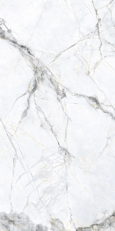 Керамогранит Аркадия Керамика CL4008-A Malta Bianco Carving Lappato 60x120 белый - фото 1