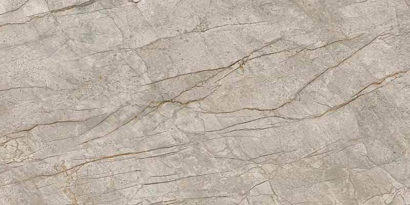 Керамогранит Atlas Concorde Empire Silver Root 60x120 матовый - фото 5