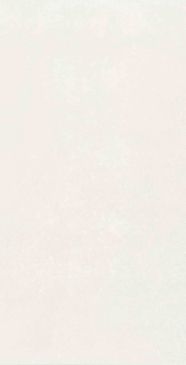 mon garden hazy garden 30x60 nb_0430