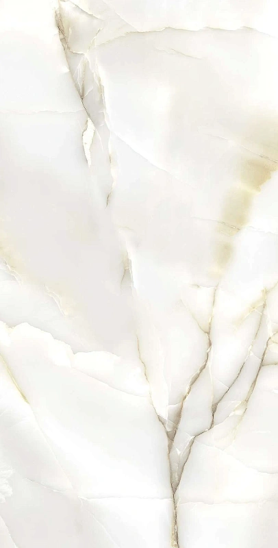 Керамогранит Аркадия Керамика FP1003-A Primo Onyx Full Polished 60x120 белый - фото 1