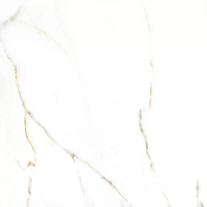 Керамогранит Alma Ceramica Extra Calacatta GFA57ECL04R 57x57 - фото 18