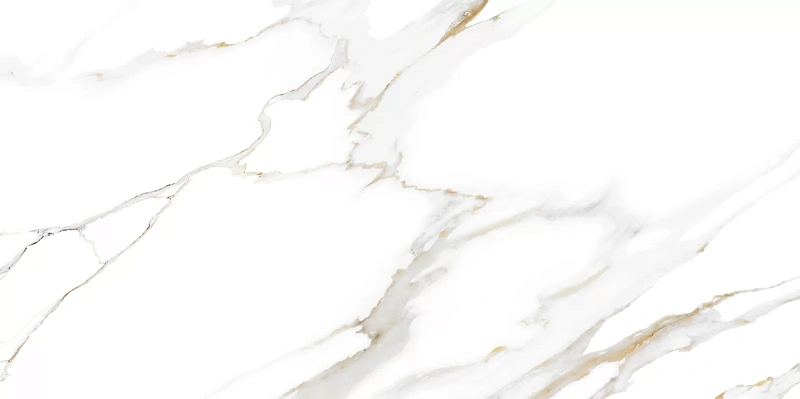 Керамическая плитка Alma Ceramica Dublin TWU09DBL004 24.9x50 - фото 12