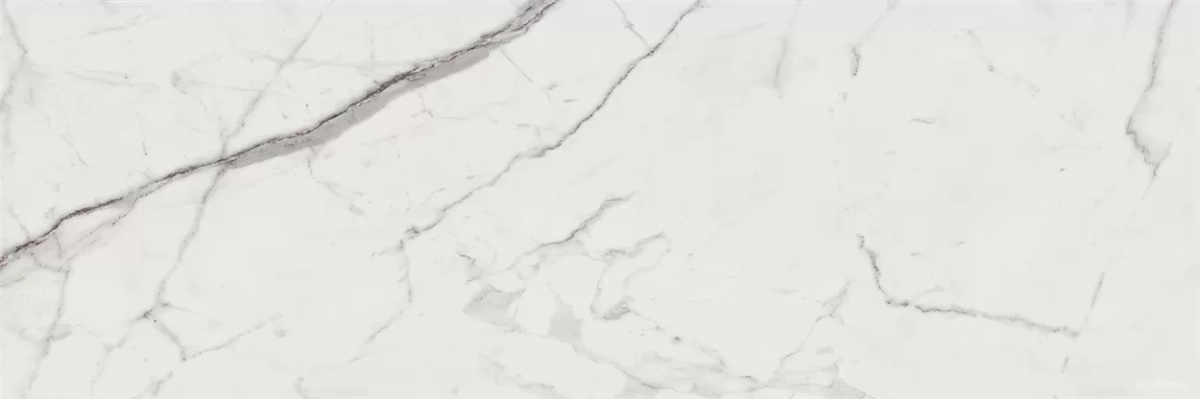 Керамическая плитка Италон Charme Evo Statuario 25x75 - фото 1