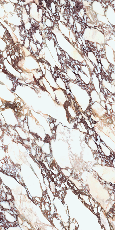 Керамогранит Laminam Ай Натурали Калаката Виола Ай Натурали Бук Матч А 12 LAMF0M0180_IT разноцветный 162x324 - фото 1