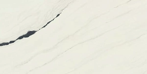 Керамогранит Atlas Concorde 610015000664 Forte dei Marmi Panda White Lapp 80x160 - фото 5