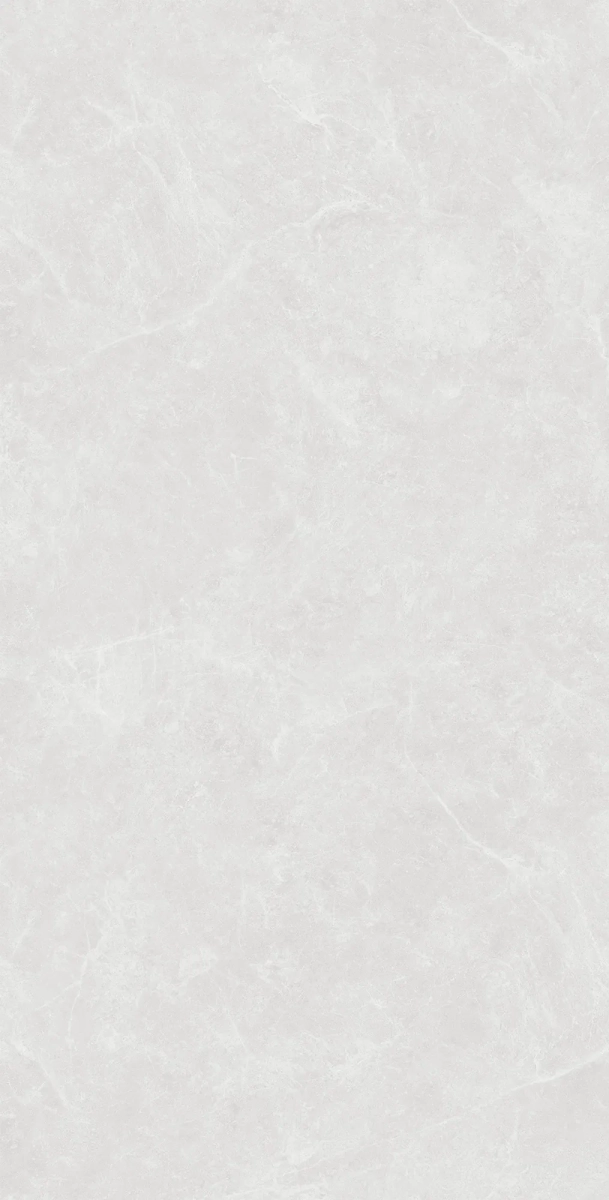 Керамогранит Креанза SL1003-A Oviedo Silver Solido 60x120 серый - фото 1